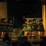 Prunksitzung Schwandorf 2009