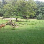 Tierpark Nürnberg 2014